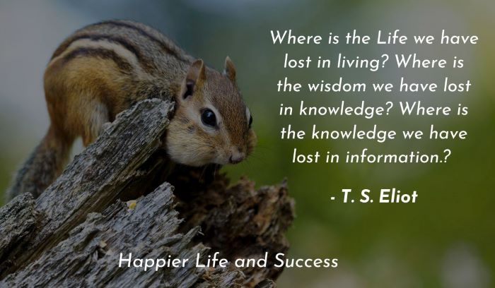 wisdom and knowledge quotes, wisdom quotes about life, life quotes, life lessons quotes, life quotes to learn from