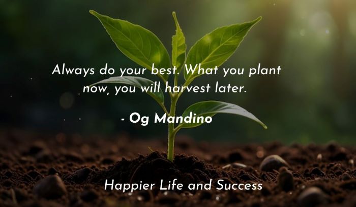 wisdom and knowledge quotes, wisdom quotes about life, life quotes, life lessons quotes, life quotes to learn from